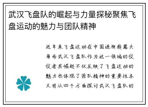 武汉飞盘队的崛起与力量探秘聚焦飞盘运动的魅力与团队精神